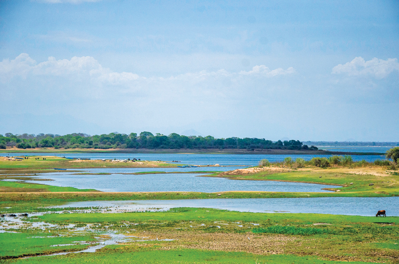 The Lunugamvehera reservoir during the drought