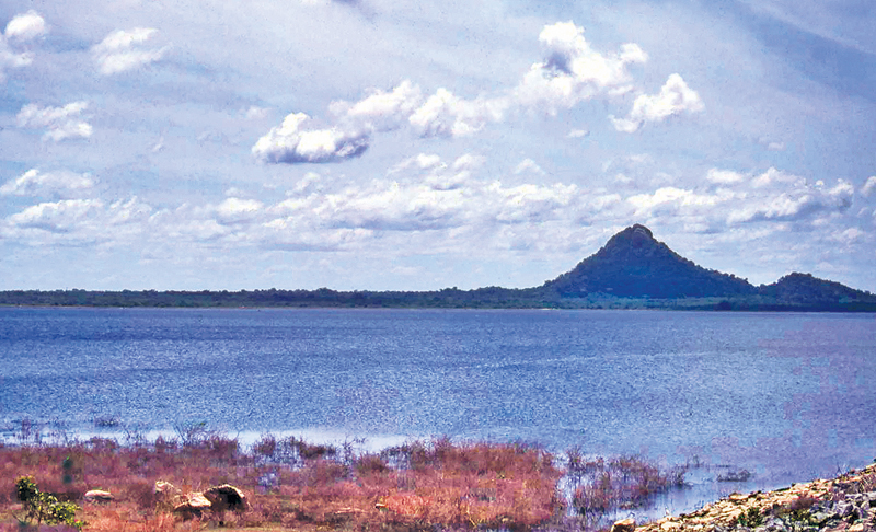 The Alikota Aru reservoir in Wellawaya
