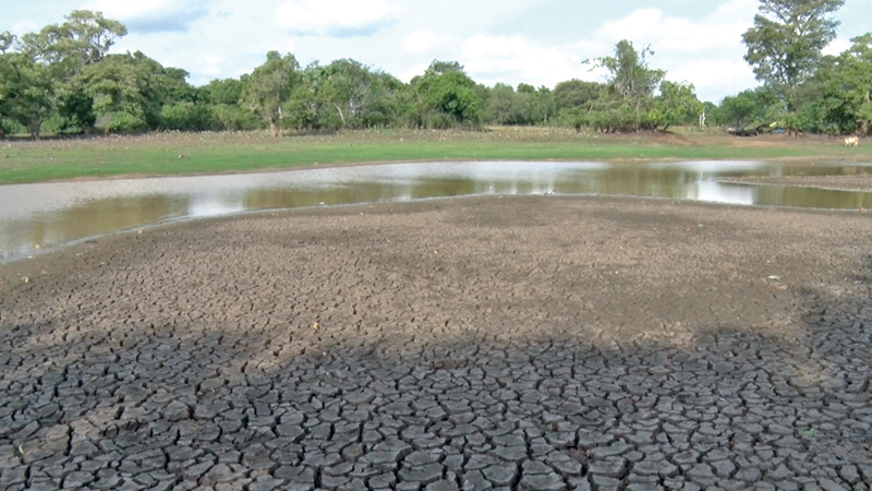 As the torrential rains continue, much of the dry zone is crippled by drought-like conditions