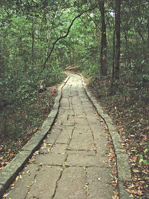 One of the stone pavements at the Ritigala hermitage