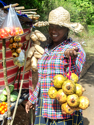 A vendor displays pomegranate wild Delum to customers 
in Lunugamvehera