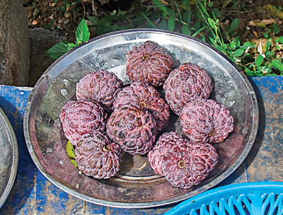 A tray of Netted Custard Apple, also known as Weli Atha ready for sale