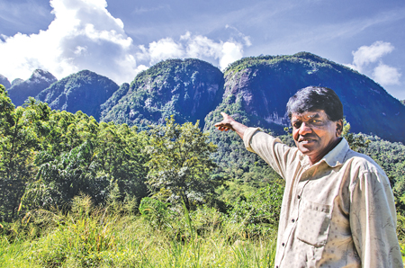 A.K. Ariyapala, 66, a villager from Koththalena  - an eyewitness to the tragedy shows the fifth cliff of the Seven Virgin Hills range where the plane crashed