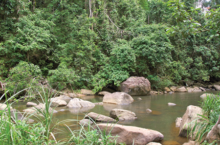 The Nachchimale stream, a tributary of the Kalu Ganga, flows beside the Madakada Aranya Senasanaya in Ingiriya